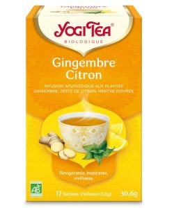 Ginger Lemon - Ayurvedic Infusion BIO, 17 sachets